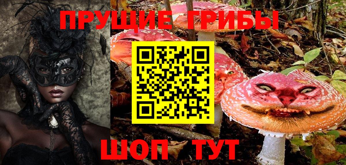 Псилоцибиновые грибы ЛСД Тихвин