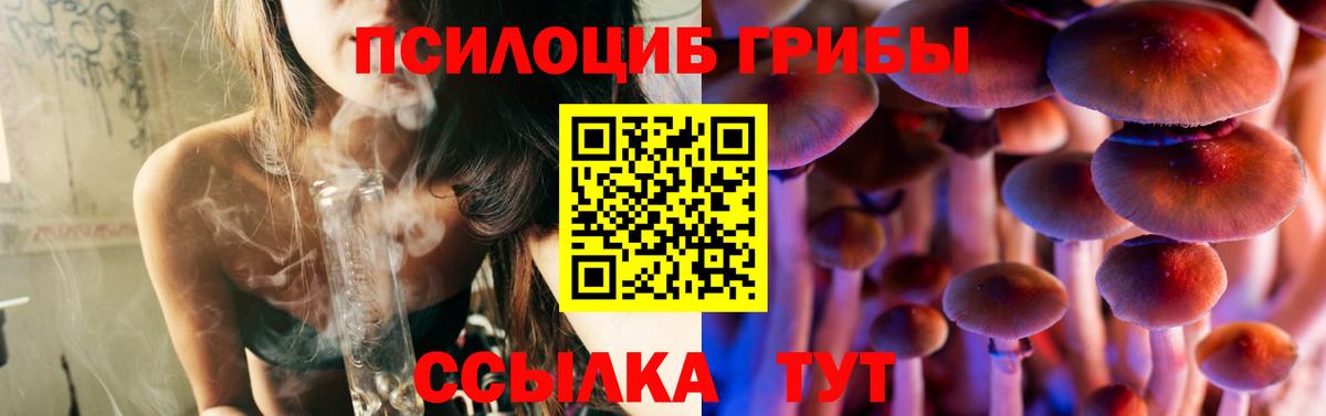 Галлюциногенные грибы Psilocybe  Вход с VPN  Тихвин 